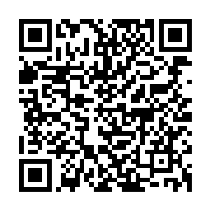 林初音几乎是完全条件反射一般的先把小喵的当前状态说了出来二维码生成