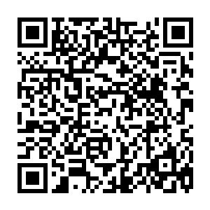 林初音手中拿着一本刚刚从外戚分部藏书阁找到的机械位面修炼秘籍在观看二维码生成