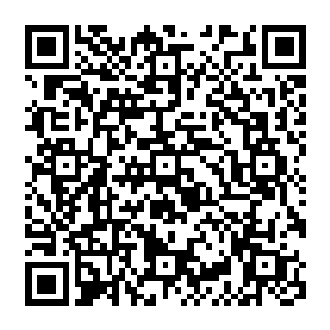 林和文也就介绍了他弟弟林和祥在担任大东制药厂厂长期间被陆为民三寸不烂之舌说动二维码生成