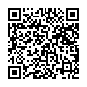 林塔下定决心要狠狠地教训这个敢于对它穷追不舍的人类小子二维码生成