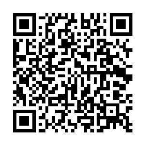 林妈妈特别换上黑色绒面旗袍搭配那块挂在脖子上的翡翠二维码生成