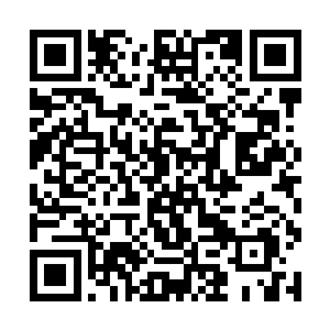林家的家主和二号人物林池把自己的后半生都赌上了二维码生成