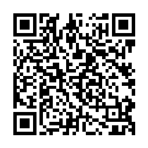 林封着力推荐大家都买上武器是因为他仔细看过异形系列电影二维码生成