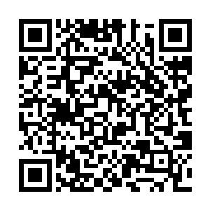 林封谨依然是咬着牙狠狠的将牙之王往里面塞了进去二维码生成