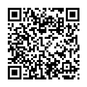 林封谨便是展示出只会诗词歌赋之类的东西其实也无所谓二维码生成