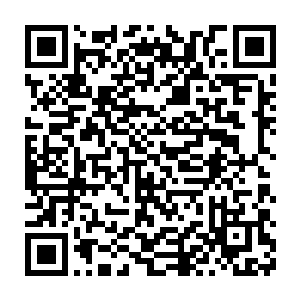 林封谨则是真真切切的将摆脱这个命运的方法呈现在了他们的面前二维码生成