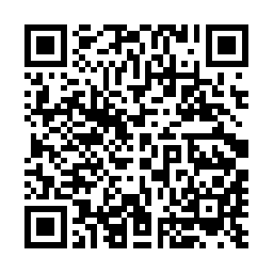 林封谨又怎么可能在前世从一个孤儿奋斗到那样的社会地位二维码生成