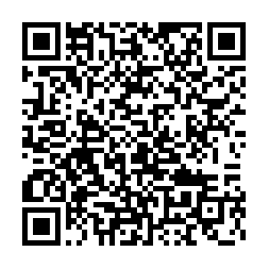 林封谨就真的感觉到自己的指甲缝隙里被刺了一根犀利的毒针进去啊二维码生成