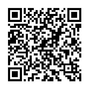 林封谨的心情真的就和稳坐钓鱼台是一样的淡定清闲自在了二维码生成