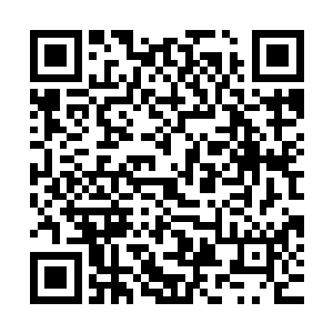 林封谨绝对不认为在这样的环境这样的局面下干得过这样的怪物二维码生成