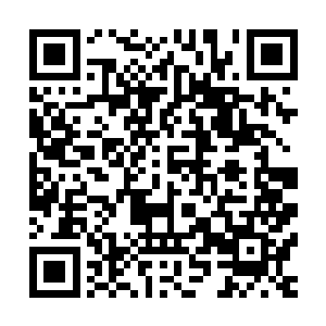 林封谨肯定都会猜测娲蛇神上辈子是不是在地球上做过销售了二维码生成