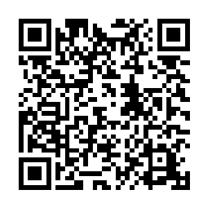 林封马上在每月的例行军委会上提出了陆军换装的问题二维码生成