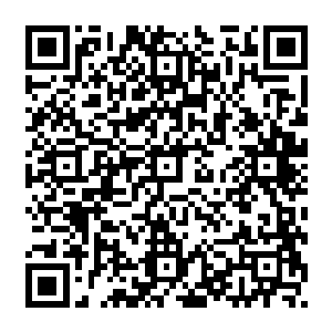 林小乖原本还打算除了帮助自己管理农场的智能系统其他都不采用外星文明的手段二维码生成