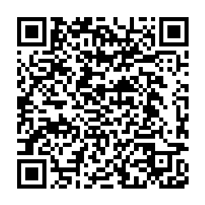 林小乖想不明白什么过分的事能把让沈小宝的罪名从误杀变成故意杀人二维码生成