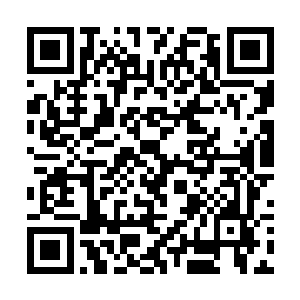 林康是林立投案自首的第二天就被林家家主叫了回去二维码生成