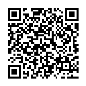 林思伊一大早就跑來赵纯良的房间　义正言辞的质问赵纯良二维码生成