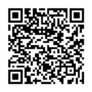 林思伊冷笑一声 娇嫩的小手往桌子上一拍 低喝道 二维码生成