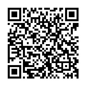 林总直接就把欧洲分公司彻底大换血……如果不是下手狠的人二维码生成