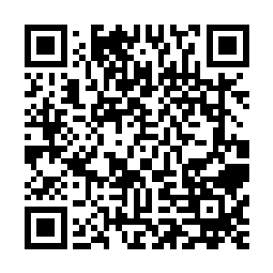 林放一边从口袋里掏出东方白临死之前用自己的血写下的遗书二维码生成