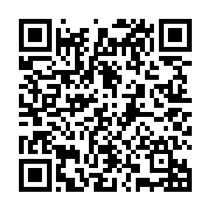 林放从旁边的凳子上拿起一份文件递到了钱德中的面前二维码生成
