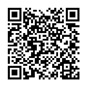 林放从李凌峰的眼神里看出他对这次事情的重视和态度二维码生成