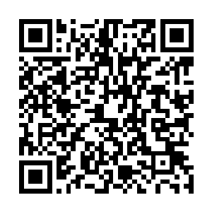 林放却隐隐的感觉到叶梦语的语气中更多的反而是一种埋怨二维码生成