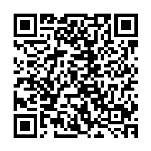 林放还真的没有表现出有什么优秀的地方是刻意超越苏超然的二维码生成