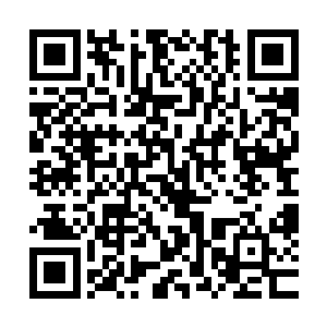 林春燕曾见过她把张鹏从鬼门关上拉回来――林春燕暗暗懊恼二维码生成