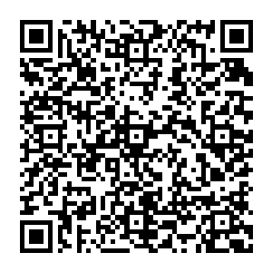 林晓军的骨灰已经放在林晓夕家很多天　眼下案子基本结了　林晓夕就得完成之前她和她母亲未完成的事情二维码生成