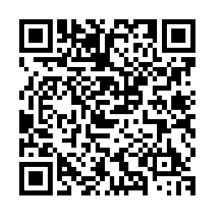 林木一直不明白的就是飞升修士为什么总是那么喜欢穿一身长袍二维码生成