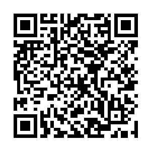 林梦寒对整件事情的大体过程已经有了比较详细的了解二维码生成