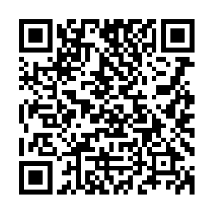 林母这边看到外面的大众评委们已经开始给朱鸿明的菜投票了二维码生成
