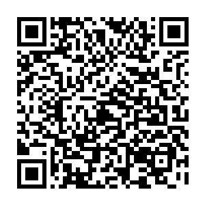 林清恒和三名老者看着慕容仙儿准确无误地说出每一枚她拿捏出来的钱币二维码生成