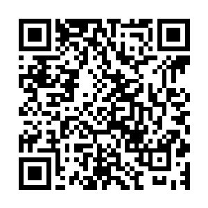 林烽……我记得好像就是放在最左边的衣柜……怎么会没有呢二维码生成