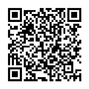 林烽在地上坐了好一会这才感觉精神力稍稍恢复了一成二维码生成