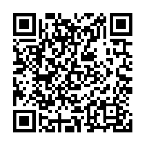 林烽总算是将住在这边的千机门弟子的修为全部都弄清楚了二维码生成