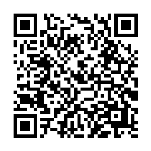 林烽想要稍微改变一下体型和声线还是很容易办到的二维码生成