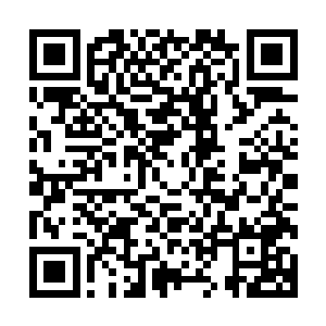 林烽才彻底的将拨金鼠部落的所有拨金鼠身上的火毒清理干净二维码生成