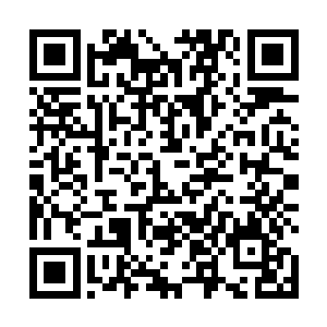 林烽的灵识完完全全地接受了所有地心之炎的传承记忆二维码生成