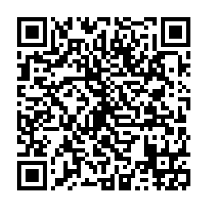 林烽能感觉到一股又一股在自己眼中算得上弱小的灵识不停的扫过自己的身体二维码生成