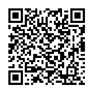 林秀兰看到他就能想起枉死的丈夫和死不瞑目的林老二维码生成