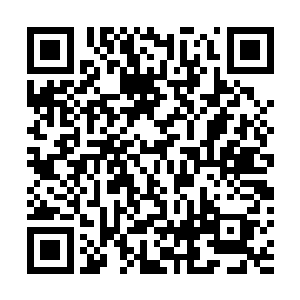 林若溪正欲从公文包里取出时装发布会记录用的文件和笔二维码生成
