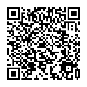 林茜可能已经支撑不下去了……或许那时候秦方见到的是一具冰冷的美人尸体了二维码生成