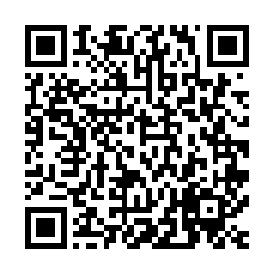 林萧羽的腿伤在刚刚出来的时候已经给猎豹成员简单处理过了二维码生成