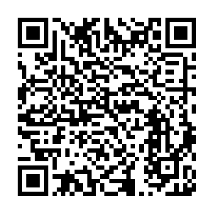 林薇儿得到的星辰之火从某种程度上说也算是一种特殊的天地玄火二维码生成