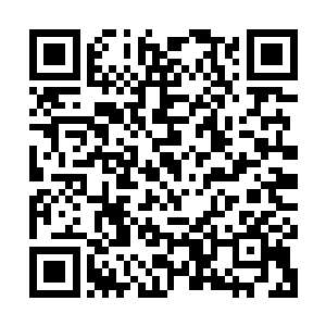 林辰在第一次进入观门时就已经施展灵气观察了整个观门的地形二维码生成