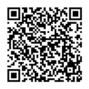 林辰忽然想起了当初自己曾经在修真界时上山拜师学艺的那所宗门二维码生成