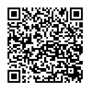 林辰无法想象那些与自己结仇的势力将会对自己身边的亲人做出如此可怕的举动二维码生成