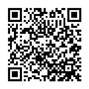 林辰的脑海中忽然想起了曾经被自己定位复仇对象的秦家二维码生成