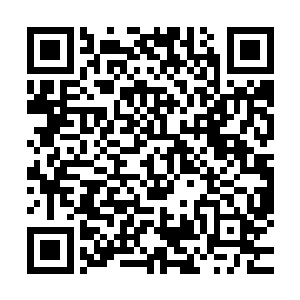 林辰给予眼前两人的丹药不过就是自己无数丹药中的其中两枚二维码生成